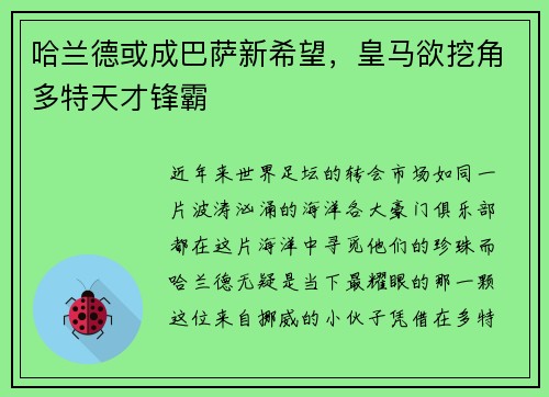 哈兰德或成巴萨新希望，皇马欲挖角多特天才锋霸